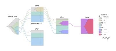 Jellyfish plot